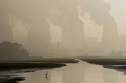 Un nuevo estudio publicado en Science revela alteraciones producidas por el calentamiento global que afectan desde la genética de plantas y los animales al funcionamiento global de los ecosistemas. En la imagen, las torres de refrigeración de la central eléctrica de carbón Jänschwalde de LEAG vistas entre la niebla el 27 de octubre de 2016 en Peitz (Alemania).