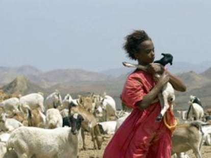 Una imagen de la película 'Una mujer en África'.