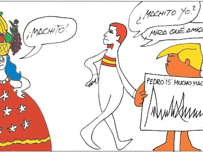 Peridis: machitos y machotes