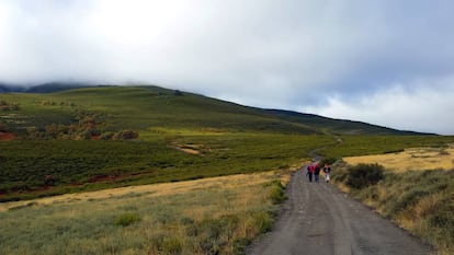 Valle de Filiel, camino de ascenso al Teleno