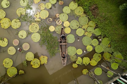 Navegando por la Reserva Flor de Loto, en la Amazonía colombiana.