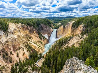 Cascadas de Lower Falls en el Gran Cañón de Yellowstone (Estados Unidos).