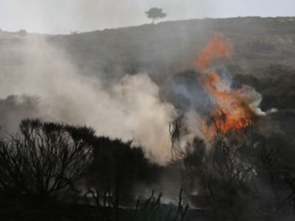 Centenares de profesionales intentan controlar el avance de los fuegos