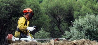 Agentes forestales realizan trabajos de prevención de incendios.