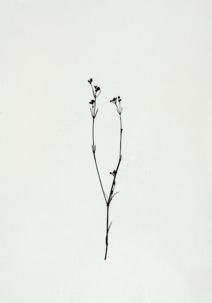 'Resistencias (II)'.