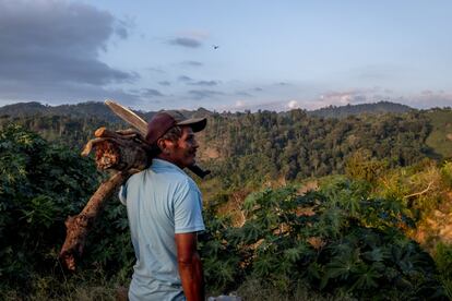 Antonio Enamorado, de 56 años, sigue viniendo a la ladera donde quedó la vida de su familia enterrada. "Sigo cultivando café aquí al lado y vengo aquí a echar el rato", dice afectado. "Mi mujer me lo advirtió", reconoce, "nos habían dicho que esto pasaría, pero nunca lo creí".