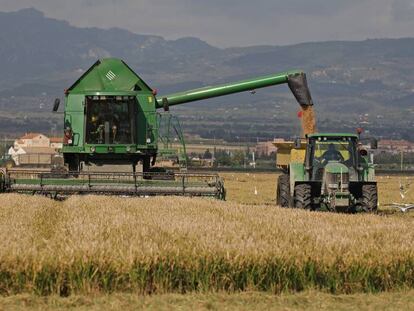 Maquinaria agrícola en el delta del Ebro.