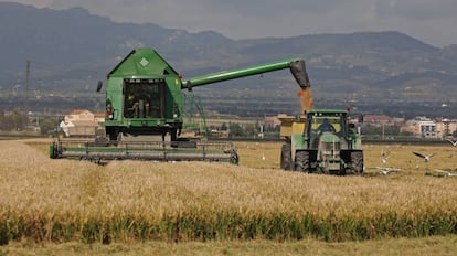 Maquinaria agrícola en el delta del Ebro.