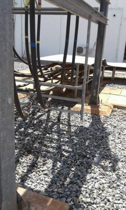 Imagen del mono facilitada por la compañía KenGen.