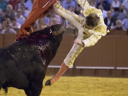 Sevilla/24-09-2016: El diestro Javier Jimenez es cogido por el sexto toro de la corrida de Feria de San Miguel en la Maestranza de Sevilla
 FOTO: PACO PUENTES/EL PAIS