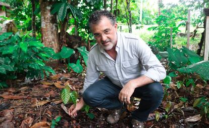 Virgilio Viana, superintendente geral da Fundação Amazônia Sustentável