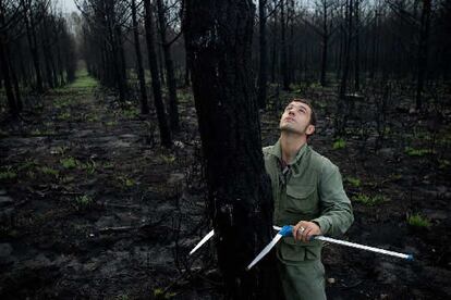 Carlos Pérez, agente forestal, en los montes de Xaviña, en el &#39;concello&#39; de mediciones de la madera quemada.
