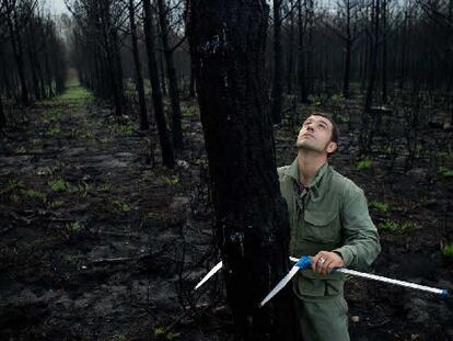 Carlos Pérez, agente forestal, en los montes de Xaviña, en el 'concello' de mediciones de la madera quemada.