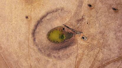 Un molino de viento y paneles solares junto a una presa en Gunnedah, en Nueva Gales del Sur (Australia).