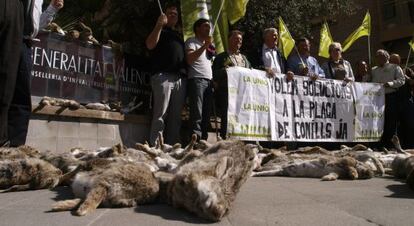 Protesta de la Uni&oacute; por la falta de medidas ante la plaga de conejos en el campo.