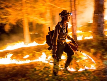 Bombeiro da Califórnia tenta alterar o rumo do incêndio.