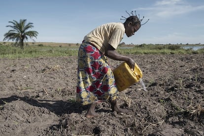 Debido a la falta de lluvias, una mujer riega el campo manualmente. Con nada más que sus manos y un esfuerzo sobrehumano, las mujeres congolesas se han convertido en el principal pilar de la economía de subsistencia. 