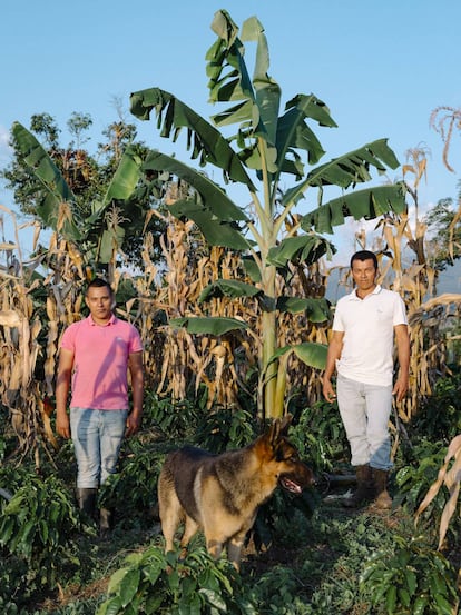 Ismael Perdomo y su hijo Oswaldo, en la finca Bonanza.