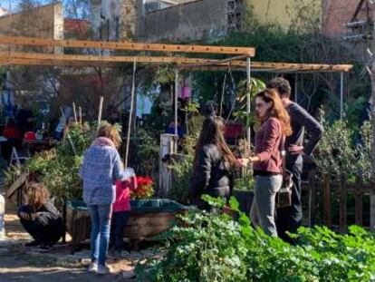 Los huertos urbanos que funcionan desde 2015 en el solar del Clot, en el barrio valenciano del Cabanyal.