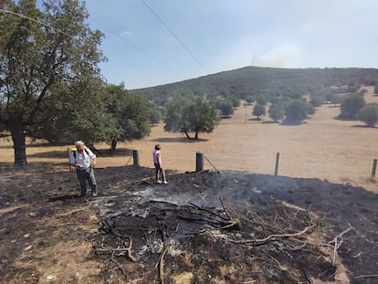 A la izquierda, Edmundo Iglesias guardés del terreno quemado en Zamora y Luisa Martínez de Irujo, propietaria de la finca. (JUAN NAVARRO).