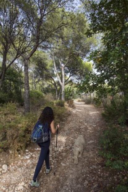 Un sendero de Marbella (Málaga).