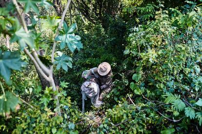 Isaac Habyarimana captures a colony of bees.