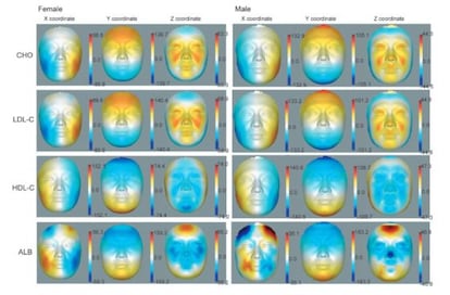 Modelos de rostos em 3D usados na pesquisa.