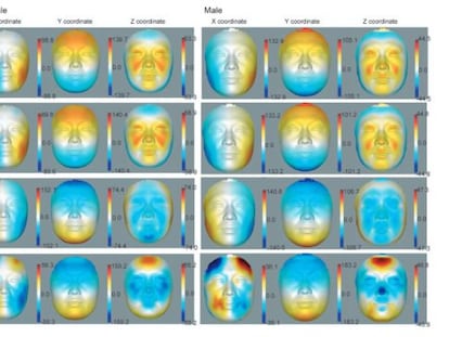 Modelos de rostos em 3D usados na pesquisa.