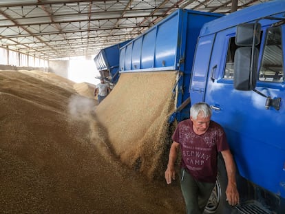 Trabajadores descargan trigo en una granja de la aldea rusa de Tersky, cerca de Stavropol.
