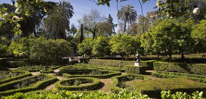 Parque de María Luisa en Sevilla donde se produjo el homicidio.