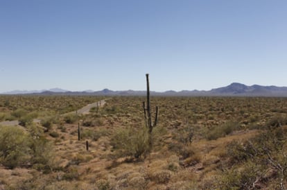 El desierto de Arizona.