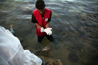 Miembros de la Media Luna Roja Libia recuperan cadáveres de inmigrantes en la costa de Tajoura, al este de Trípoli, en Libia. Se han recuperado los cadáveres de al menos 25 inmigrantes ahogados tratando de llegar a Europa cruzando el Mediterráneo.