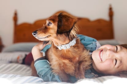 Un niño juega con su perro en la cama.