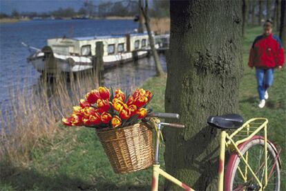 Hasta finales de mayo se puede visitar el gran parque floral de Keukenhof, cerca de Amsterdam. Vuelos más cuatro noches de hotel para el puente, por 504 euros.