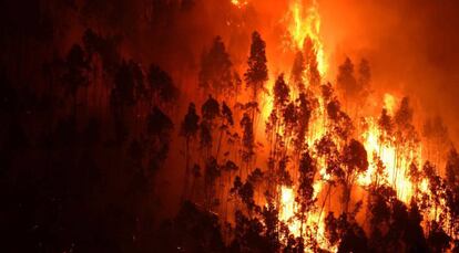 Un bosque en llamas en junio de 2017 cerca de la aldea de Mega Fundeira (Portugal).