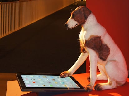 Perro tecnológico <i>iPaw.</i>