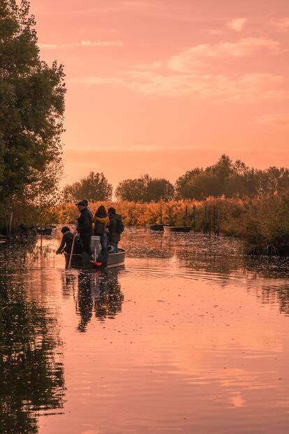 La 'chaland' es como se llama en la zona a las barcas tradicionales que recorren las marismas de la Bière.
