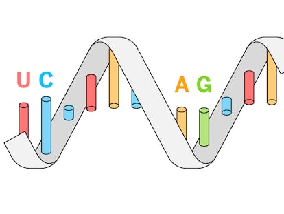 RNA, a molécula que pode nos tirar desta pandemia 