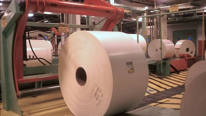 Bonina de papel, en una imagen de archivo.