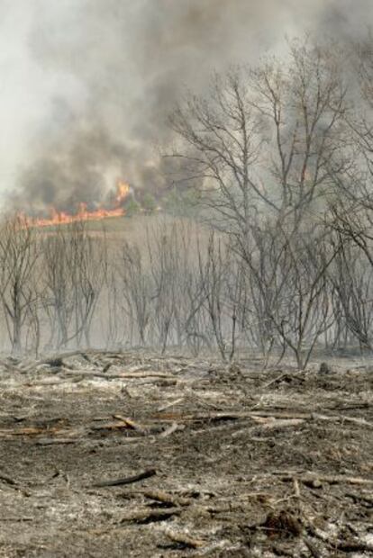 Incendio forestal en la parroquia de Laioso, Allariz, el pasado jueves.