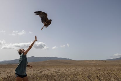 Finally, the birds are released.