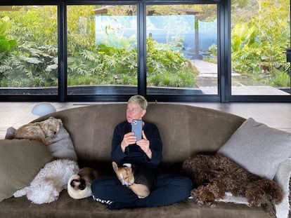 La presentadora Ellen DeGeneres, retratándose en el salón de su mansión en Los Ángeles.