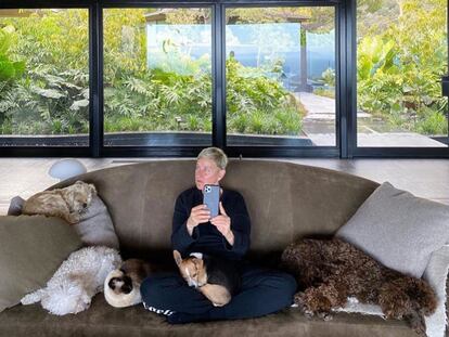 La presentadora Ellen DeGeneres, retratándose en el salón de su mansión en Los Ángeles.