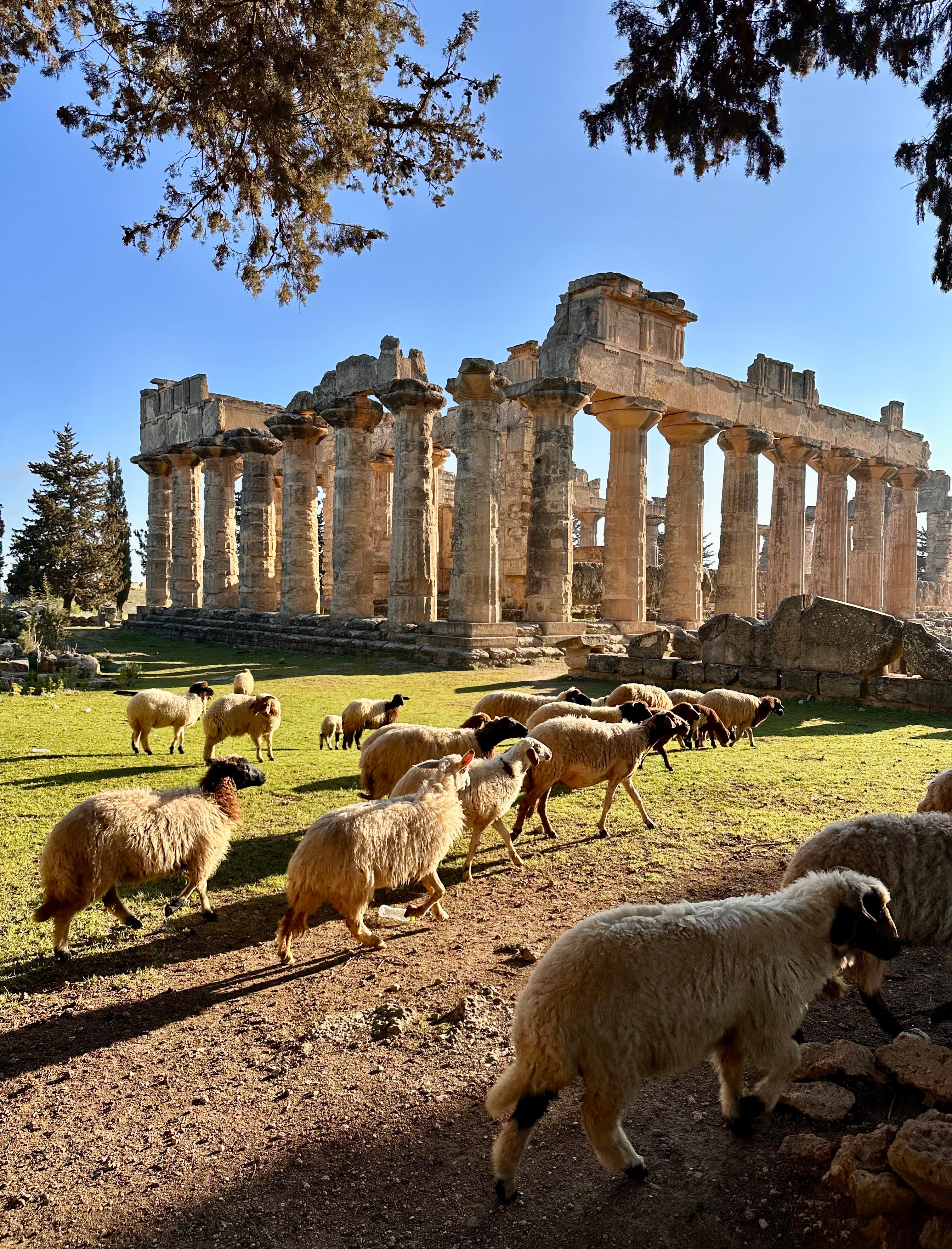 Para los guardianes del patrimonio histórico del este de Libia, la batalla no ha terminado