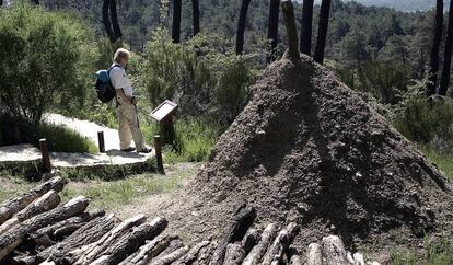 Los bosques de El Escorial ofrecen múltiples actividades.