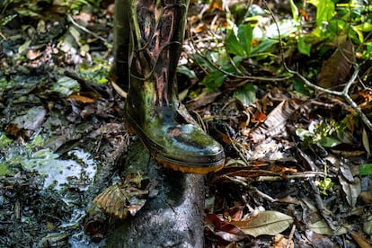 Tubulação de descarga perto de um poço de petróleo. A flora e a fauna também sofreram danos causados pela poluição e a presença de animais silvestres na área diminuiu drasticamente.