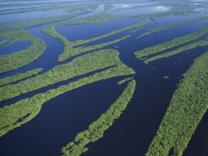 El archipiélago Anavilhanas en el río Negro (Amazonas, Brasil).
