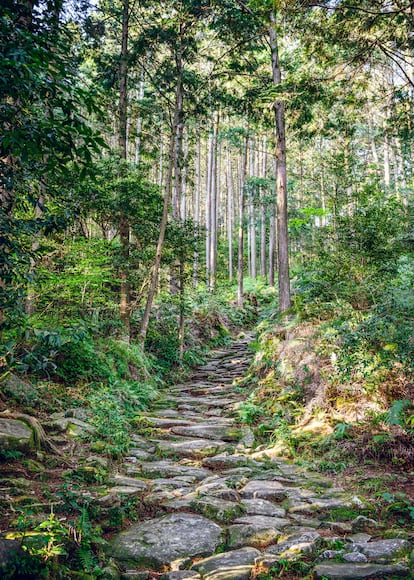 El paso de Matsumoto, en el Camino Kumano.