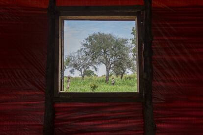 Vista desde la ventana de una escuela improvisada construida por los refugiados. Debido a la falta de fondos, en los campos de refugiados no se han construido suficientes colegios. Los niños estudian en aulas abarrotadas con cientos de compañeros o se ven obligados a vender parte de sus raciones de comida para pagar clases privadas. En consecuencia, muchos dejan de asistir. La falta de infraestructuras, material escolar y maestros cualificados en los campos de refugiados tiene un efecto devastador sobre la educación de los menores sursudaneses. La tasa de abandono escolar es muy alta, y los mayores temen que pueda estar relacionada con el brusco aumento de la tasa de sida, la delincuencia, el consumo de drogas y los embarazos precoces entre los jóvenes.