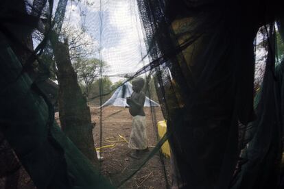 Tito camina por el terreno que le ha sido asignado a él y a su familia por parte del Gobierno de Uganda para su reasentamiento, en el campo de refugiados de Imvepi.